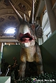 VBS_0891 - Dinosauri. Terra dei giganti